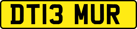 DT13MUR