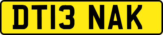DT13NAK