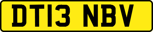 DT13NBV