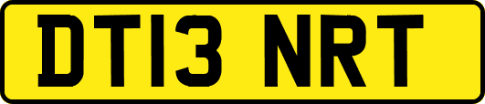 DT13NRT