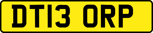 DT13ORP