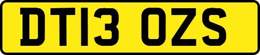 DT13OZS