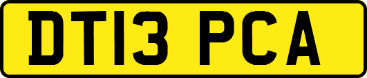 DT13PCA