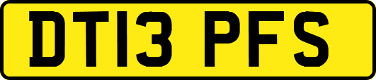 DT13PFS