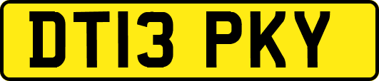 DT13PKY