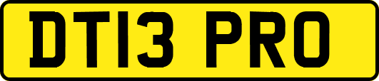 DT13PRO