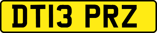 DT13PRZ