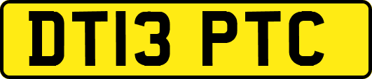 DT13PTC