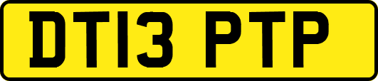 DT13PTP