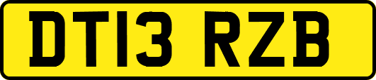 DT13RZB