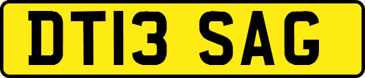 DT13SAG