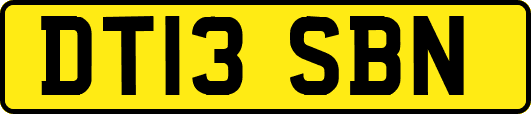 DT13SBN