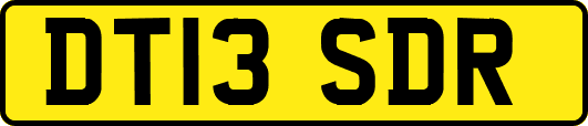 DT13SDR