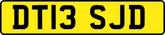 DT13SJD
