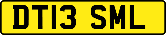 DT13SML