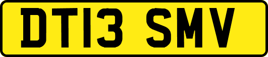 DT13SMV