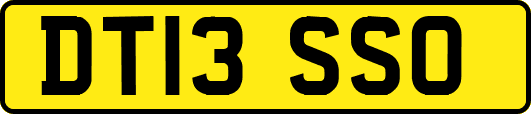 DT13SSO