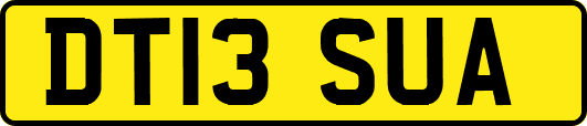 DT13SUA