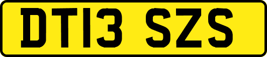 DT13SZS