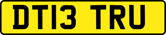 DT13TRU