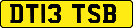 DT13TSB