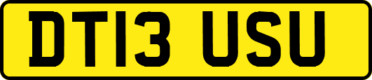 DT13USU
