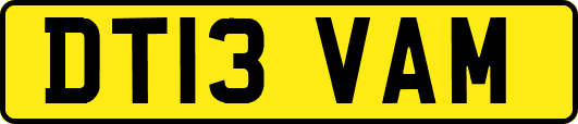 DT13VAM