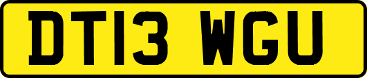 DT13WGU