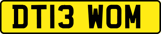 DT13WOM