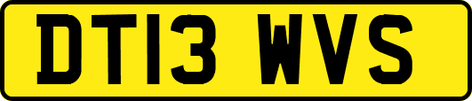 DT13WVS
