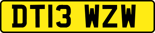DT13WZW