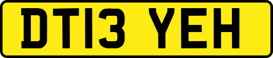 DT13YEH