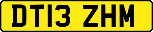 DT13ZHM