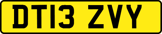 DT13ZVY