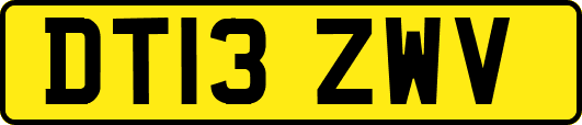 DT13ZWV