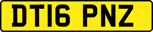 DT16PNZ