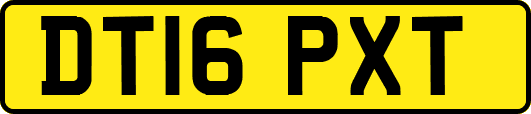 DT16PXT