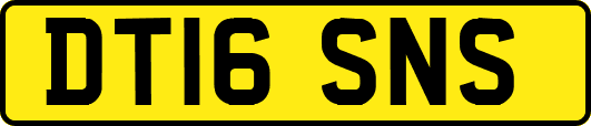 DT16SNS