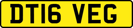 DT16VEG