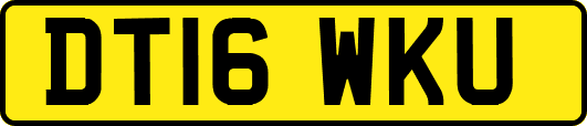 DT16WKU