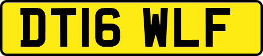 DT16WLF