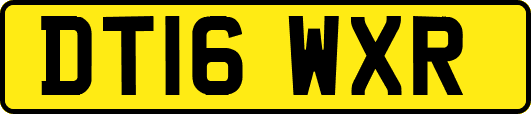 DT16WXR