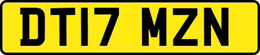 DT17MZN