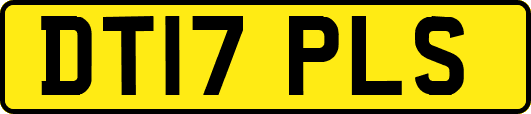 DT17PLS