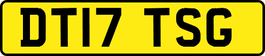 DT17TSG