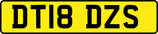 DT18DZS