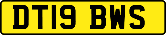 DT19BWS