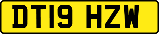 DT19HZW