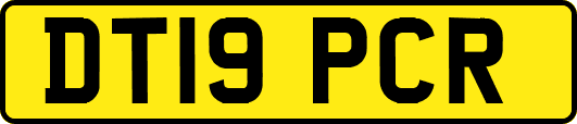 DT19PCR