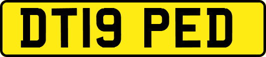 DT19PED